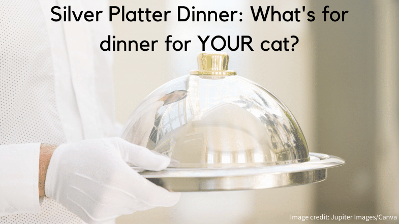A person wearing a white glove holds a silver platter with a domed lid. Text above reads: "Silver Platter Dinner: What's for dinner for YOUR cat?.